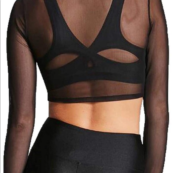 Sheer Long Sleeve Crop Top - Picture 2 of 4